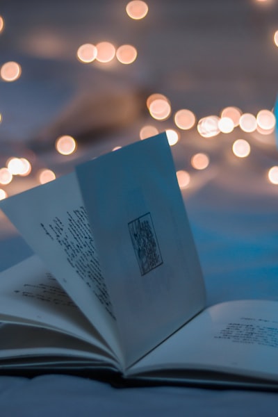 电视剧《繁花》海报 - 90年代上海黄河路商战背景下的人物群像